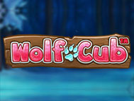 Wolf Cub Best Slots Bonus Game