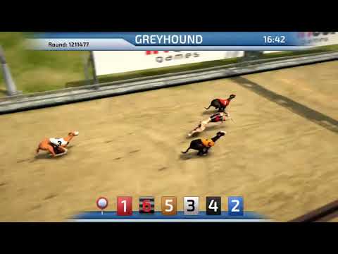 Dog Racing Betting Online